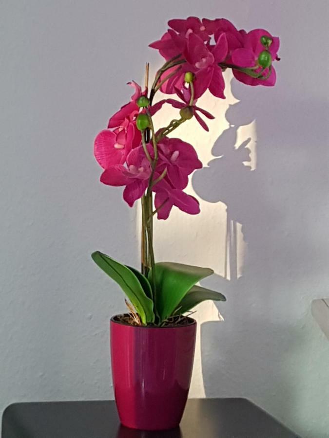 Loft Orchidee Uberlingen